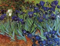 Irises Vincent van Gogh Impressionism Flowers
